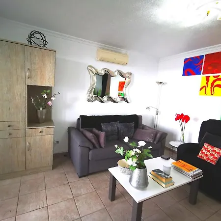Private Roof Terrace With Sea Views San Bartolome de Tirajana (Gran Canaria)